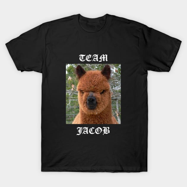 Team Jacob T-Shirt by averymuether